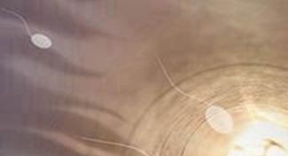 易試管助孕_一般可以在哪里做小卵泡試管