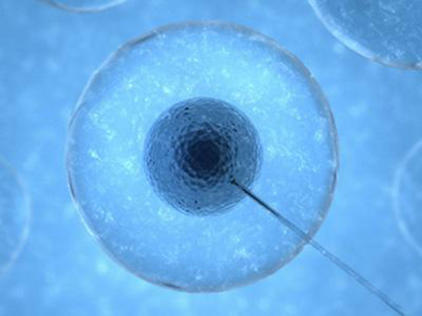 易試管助孕_廣州第三代試管嬰兒技術(shù)在國內(nèi)排名第一？