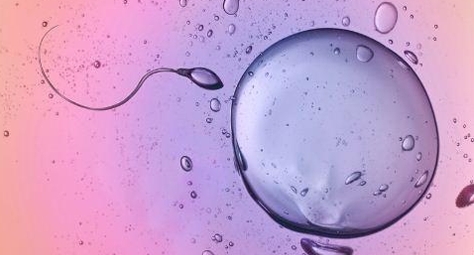 湖北試管較好的助孕機(jī)構(gòu)都有哪些？這四家助孕公司試管成熟