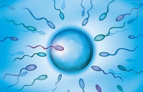 甘肅做三代試管助孕比較好的公司匯總，2025年排名榜名單參考