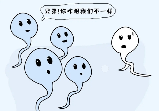 河南正規(guī)助孕公司哪里較好？這3家機(jī)構(gòu)都可選擇