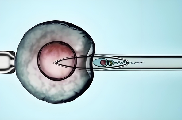 陜西正規(guī)助孕公司哪里較好？這3家機(jī)構(gòu)都可選擇