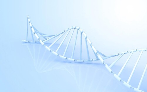 山東助孕機構(gòu)哪個好？過來人其強力推薦山東這五家助孕公司