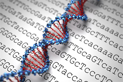 遼寧助孕機(jī)構(gòu)一覽,尋找遼寧權(quán)威助孕公司服務(wù)指南