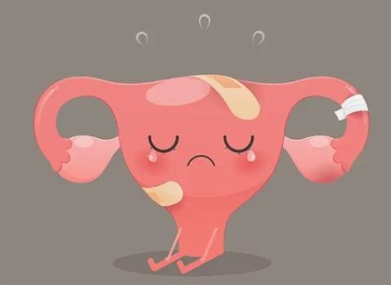 甘肅試管成功率高的助孕機(jī)構(gòu)靠譜嗎？結(jié)果顯而易見