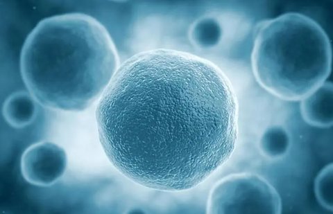 貴陽(yáng)專(zhuān)業(yè)試管試管醫(yī)院有哪幾家？這幾家試管醫(yī)院均支持