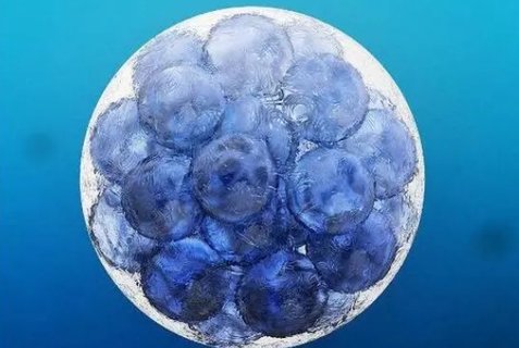 長沙試管醫(yī)院試管靠譜嗎？長沙試管醫(yī)院這些試管優(yōu)勢讓你一目了然