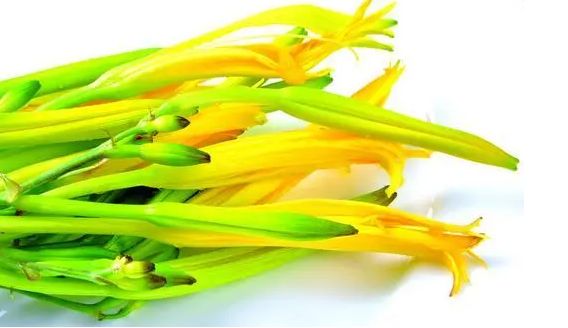 孕婦可以吃小黃花嗎,這是個令人困惑的問題