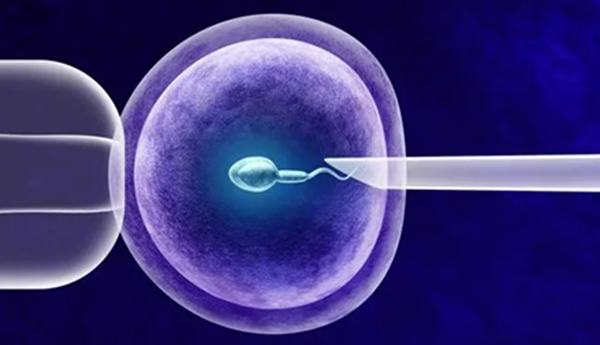 做試管嬰兒從開始到懷上需要多久？