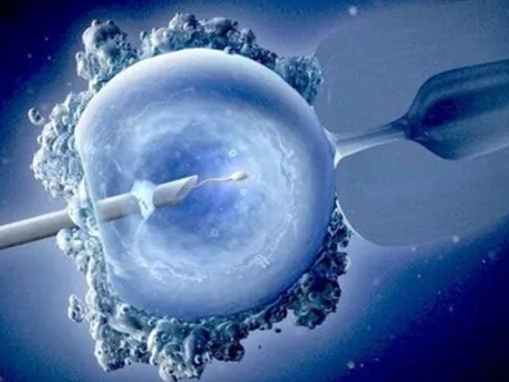 西藏阜康醫(yī)院試管嬰兒要多少錢？