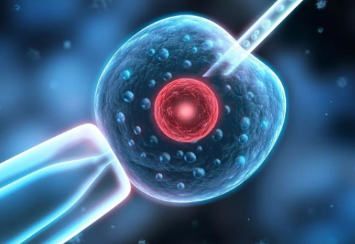 重慶做試管嬰兒**幾率大嗎？