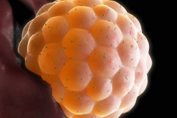 著床期間并不會一直疼