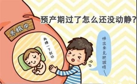 要如何正確推算排卵期、安全期及預產(chǎn)期？