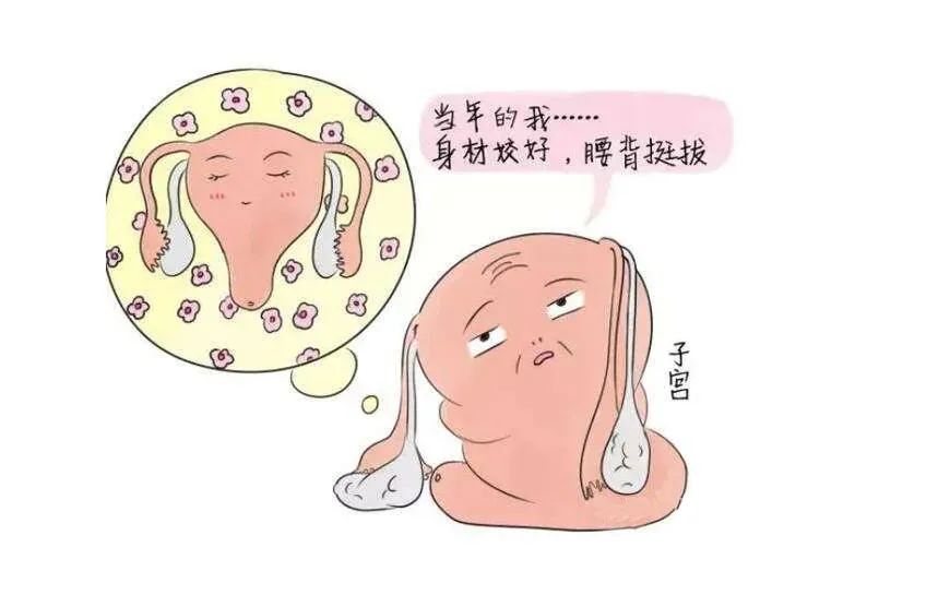 卵巢功能下降了還能生孩子嗎