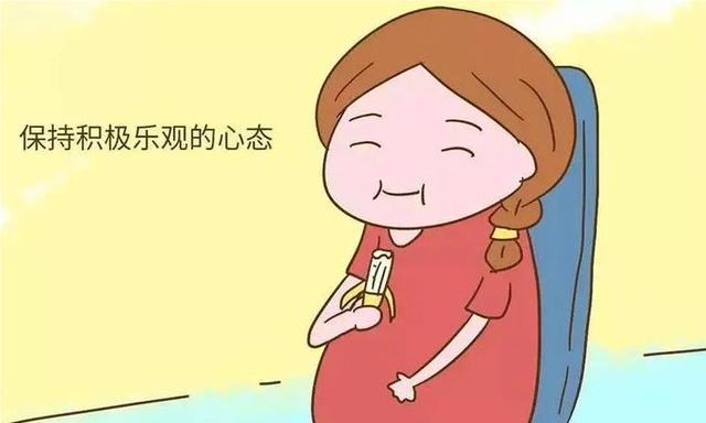 胚胎停育一般發(fā)生在什么時候？