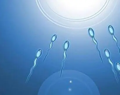 男方精子活力不夠是做人工還是試管？