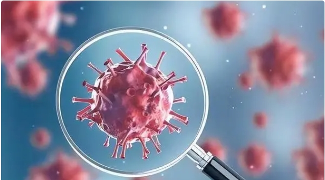 高齡做試管嬰兒移植鮮胚好還是囊胚好？