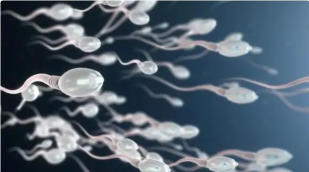 高齡做試管嬰兒一般會有哪些風險問題？