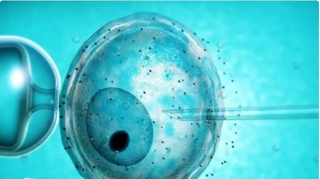 高齡做試管嬰兒風(fēng)險(xiǎn)有多高？