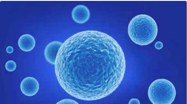 高齡做試管嬰兒大概費用多少錢一次？