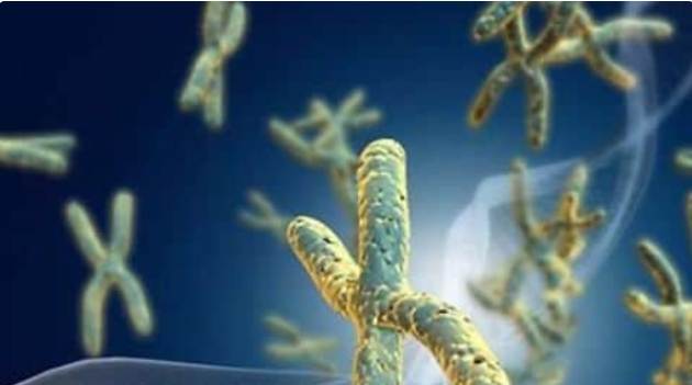  高齡準備做試管嬰兒需要特別注意哪些地方？