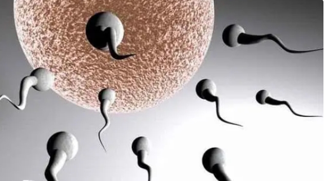 高齡女性做試管嬰兒選幾代技術(shù)比較好呢？