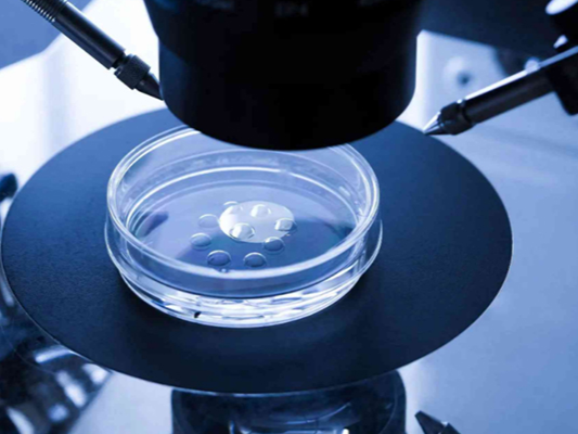 去泰國(guó)做試管需有護(hù)照