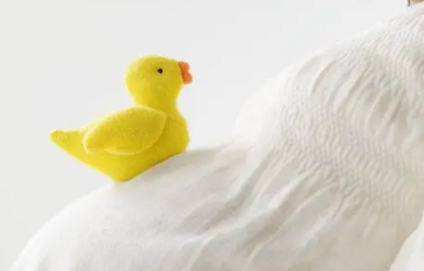 孕婦懷上貴子的7個(gè)征兆，出現(xiàn)這些現(xiàn)象說明孩子是“福報(bào)”