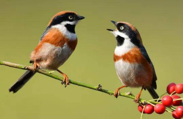 孕婦懷上貴子的7個(gè)征兆，出現(xiàn)這些現(xiàn)象說明孩子是“福報(bào)”