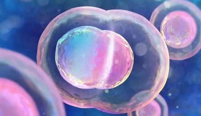 為什么優(yōu)質(zhì)胚養(yǎng)囊會(huì)養(yǎng)死