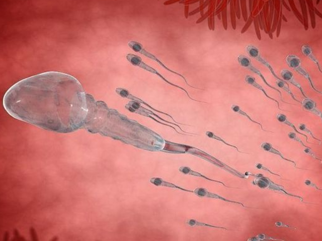 男性無精的癥狀表現(xiàn)有哪些？