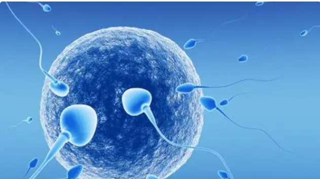 高齡做試管嬰兒還需不需要做羊穿檢查？