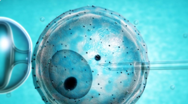 高齡做試管嬰兒成功率多少算是正常水平？