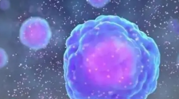  高齡做試管嬰兒適合做幾代試管技術(shù)？