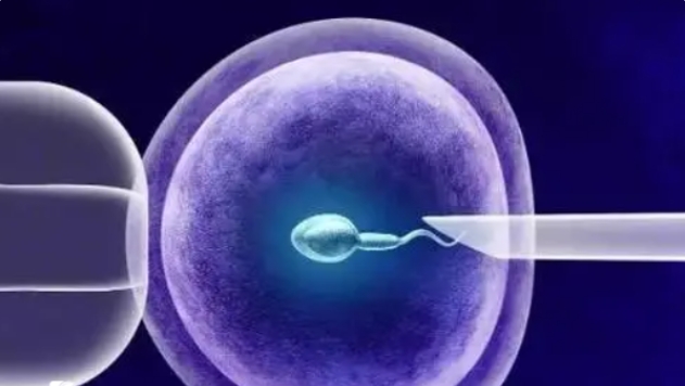 高齡做試管嬰兒可以用什么方法提高成功率呢？