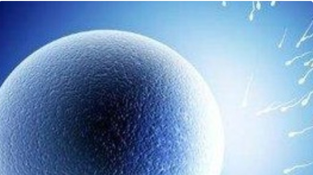 高齡做試管嬰兒一般成功率能有多少？