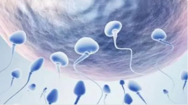 高齡做試管嬰兒選第幾代試管嬰兒技術(shù)比較好？