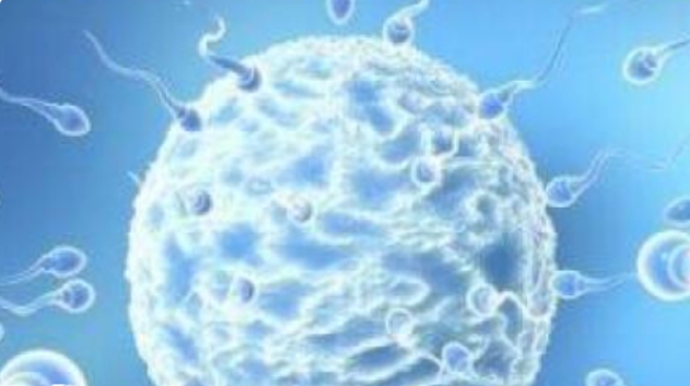 青島做試管嬰兒費(fèi)用有哪些影響因素？