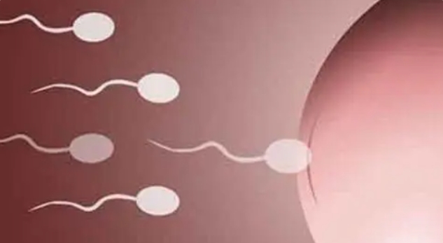 贛州找私立醫(yī)院做試管嬰兒費(fèi)用怎么算的？