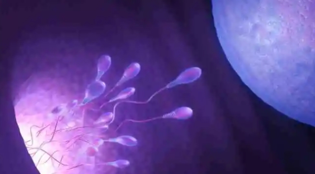 40歲高齡做試管嬰兒費用一般多少錢？