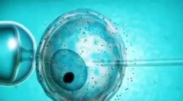 泰國高齡做試管嬰兒大概多少錢一次？