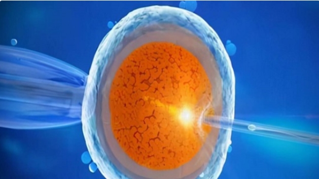 高齡準(zhǔn)備去泰國(guó)做試管嬰兒要注意哪些地方？