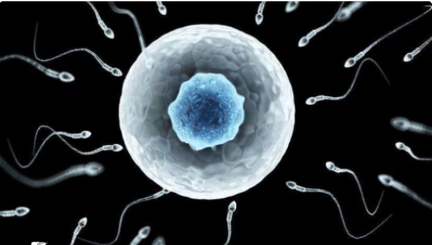 廣州找私人醫(yī)院做試管嬰兒靠不靠譜?。? /></div>
					</div>
					<div   id=