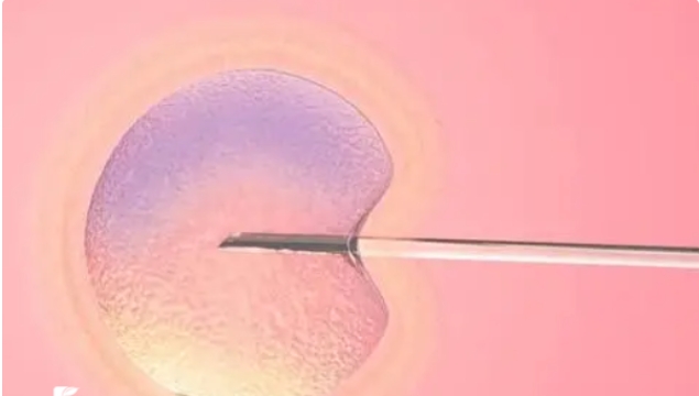 自己去泰國(guó)做試管嬰兒要注意哪些地方？