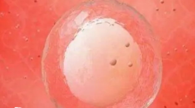 高齡做試管嬰兒對身體的傷害大不大呢？