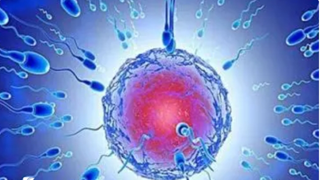 泰國(guó)能做試管嬰兒的醫(yī)院有哪些？試管成功率都怎么樣？