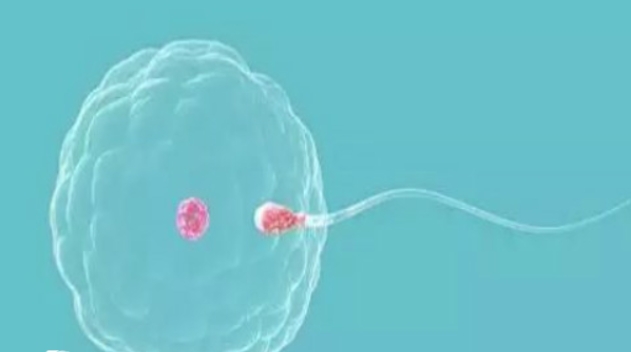  高齡在泰國做試管嬰兒的成功率高不高呢？