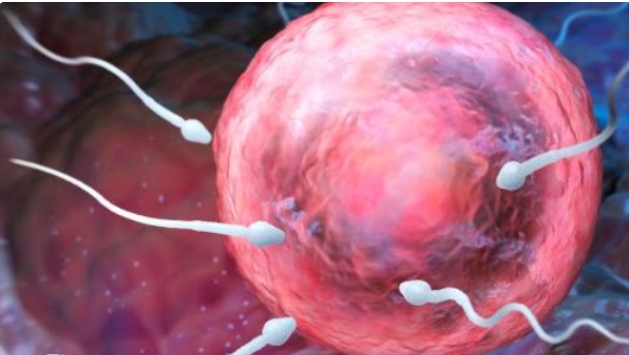 高齡做試管嬰兒胚胎質(zhì)量一般怎么樣？怎么改善呢？