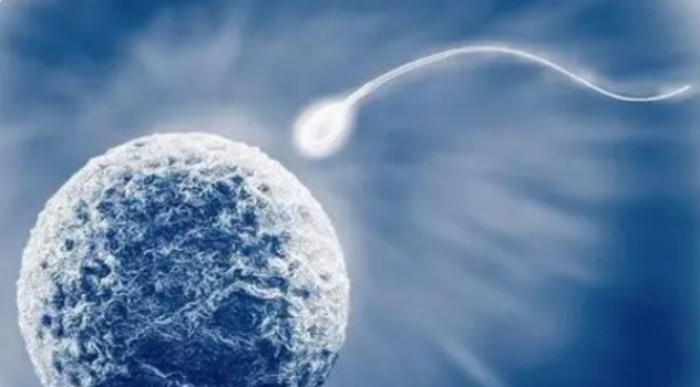 河北高齡做試管去哪家醫(yī)院成功率會(huì)比較好一點(diǎn)？