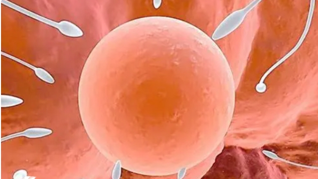 高齡做試管嬰兒可以去哪些醫(yī)院比較好呢？